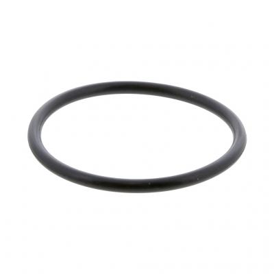 O-RING (Pack of 6)