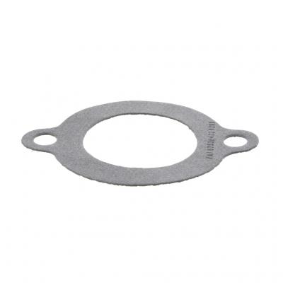 THERMOSTAT GASKET (Pack of 6)