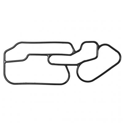 OIL COOLER GASKET (Pack of 2)