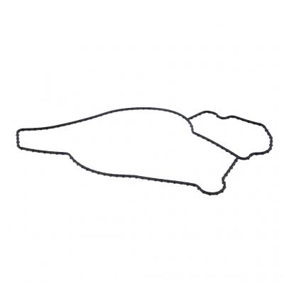 WATER PUMP GASKET