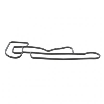 OIL GASKET (Pack of 2)