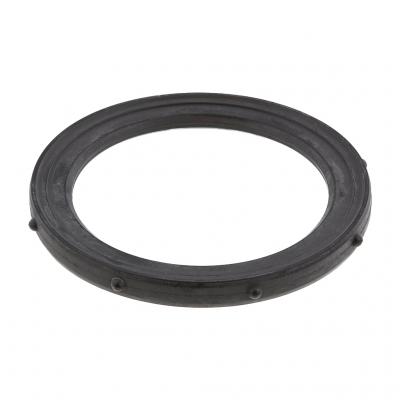 THERMOSTAT SEAL
