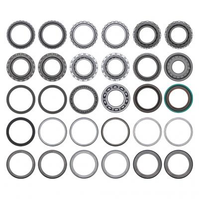 BEARING AND SEAL KIT