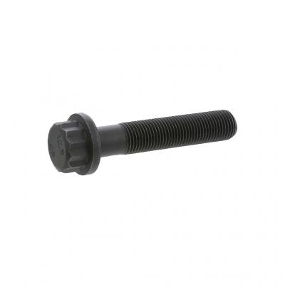 SCREW (Pack of 12)