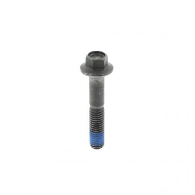 SCREW (Pack of 2)