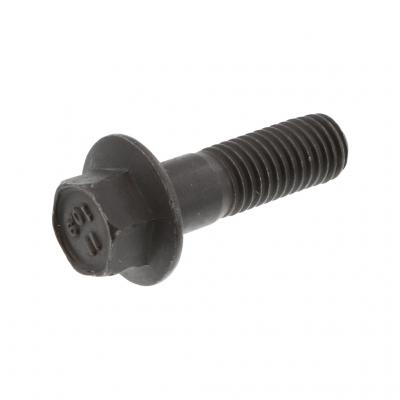 FLANGED HEX HEAD CAPSCREW (Pack of 10)