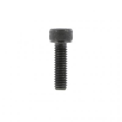 SCREW (Pack of 6)