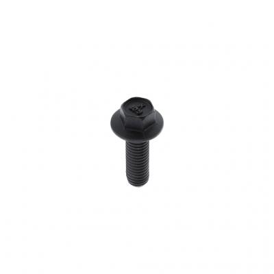 FLANGED HEX HEAD CAPSCREW (Pack of 4)