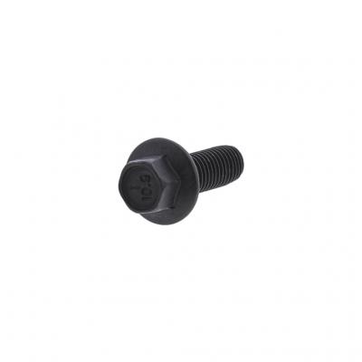 FLANGED HEX HEAD CAPSCREW (Pack of 5)