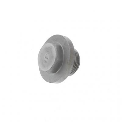 DRAIN PLUG (Pack of 2)