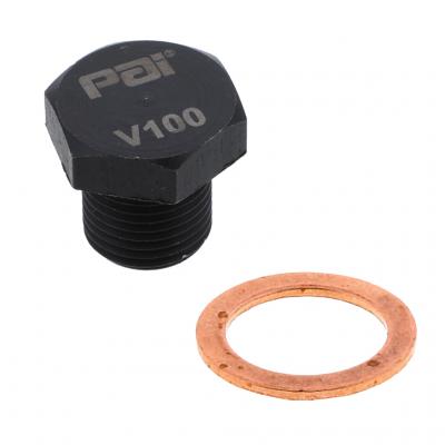 DRAIN PLUG KIT