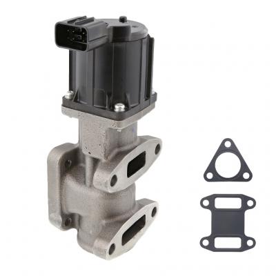 EGR VALVE KIT