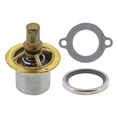 THERMOSTAT KIT