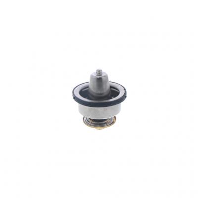 THERMOSTAT KIT