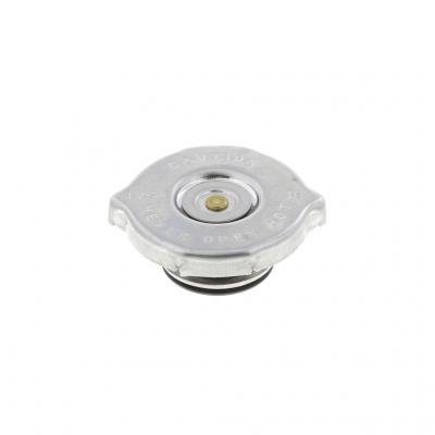 SURGE TANK CAP