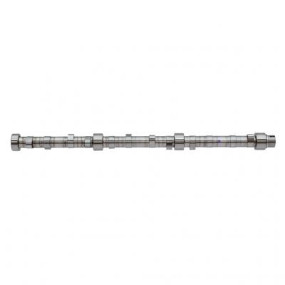ROLLER LIFTER CAMSHAFT