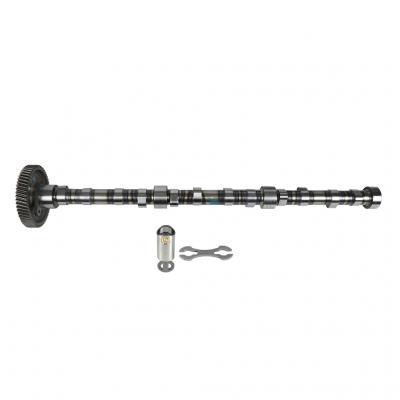 CAMSHAFT AND LIFTER KIT