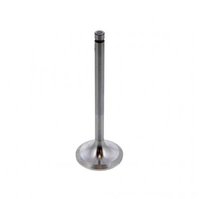 INTAKE VALVE (Pack of 2)