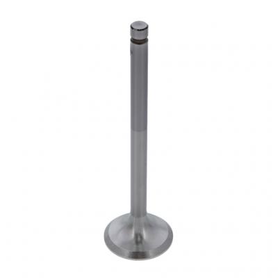 EXHAUST VALVE (Pack of 2)