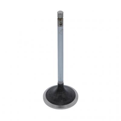 INTAKE VALVE (Pack of 2)