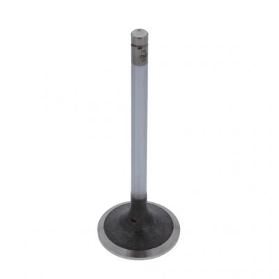 INTAKE VALVE (Pack of 2)
