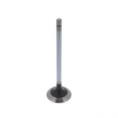 EXHAUST VALVE (Pack of 2)