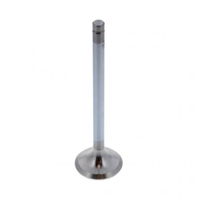 EXHAUST VALVE (Pack of 2)