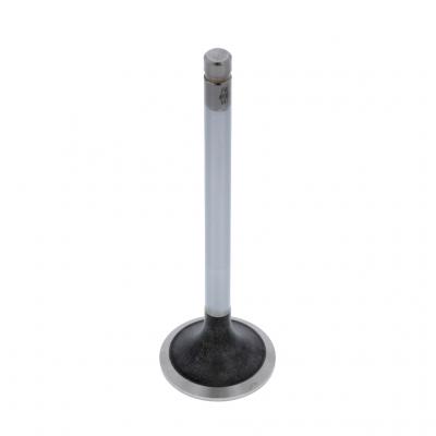 INTAKE VALVE (Pack of 2)