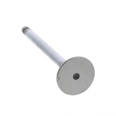EXHAUST VALVE (Pack of 2)