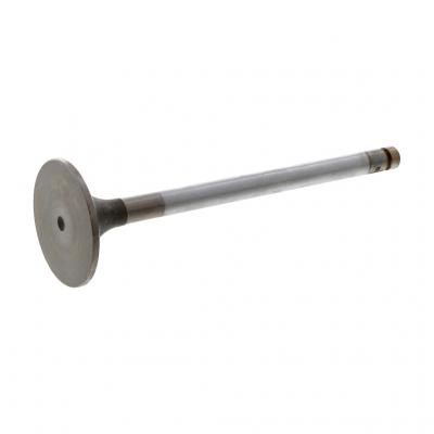 INTAKE VALVE (Pack of 2)