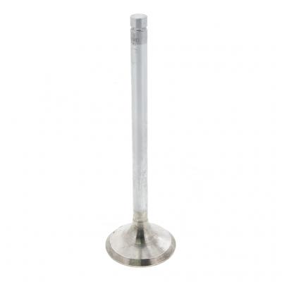 EXHAUST VALVE (Pack of 2)