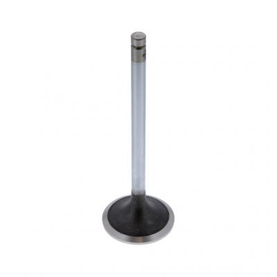 INTAKE VALVE (Pack of 2)
