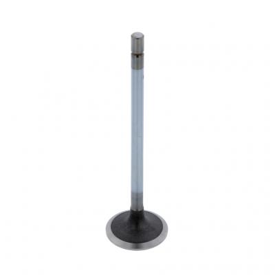 INTAKE VALVE (Pack of 2)