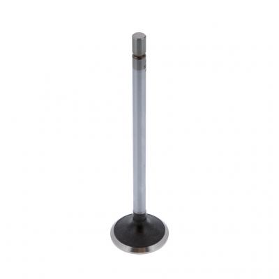 EXHAUST VALVE (Pack of 2)