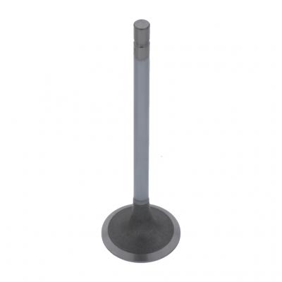INTAKE VALVE (Pack of 2)