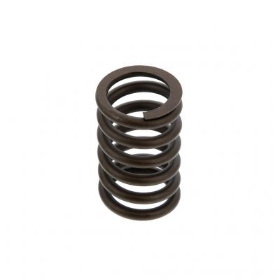 VALVE SPRING (Pack of 2)