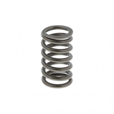EXHAUST SPRING (Pack of 2)