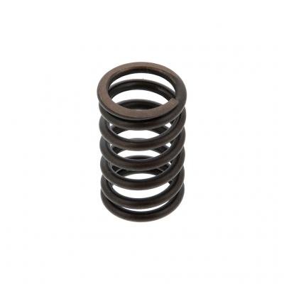 VALVE SPRING (Pack of 6)