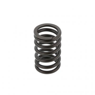VALVE SPRING (Pack of 6)