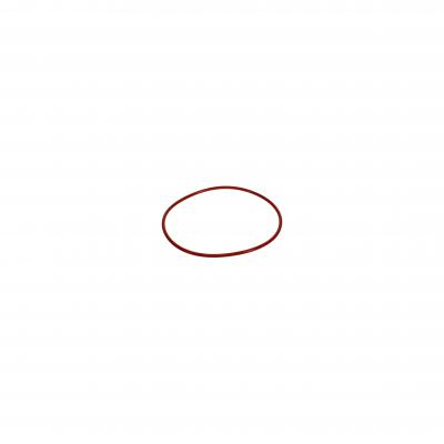 O-RING (Pack of 10)