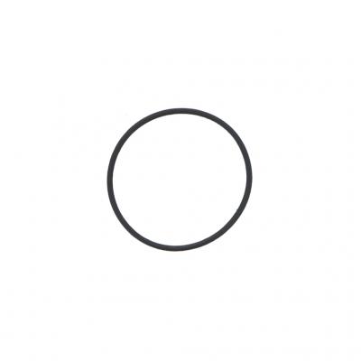 O-RING (Pack of 12)