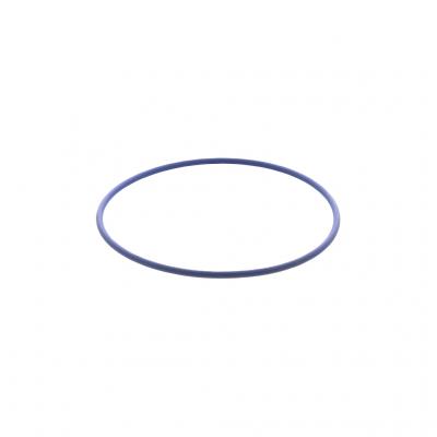 O-RING (Pack of 10)