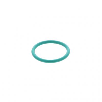O-RING (Pack of 6)