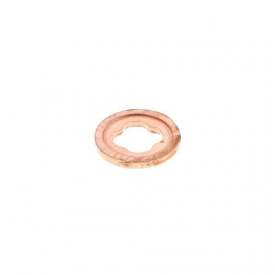 INJECTOR SEAL (Pack of 6)