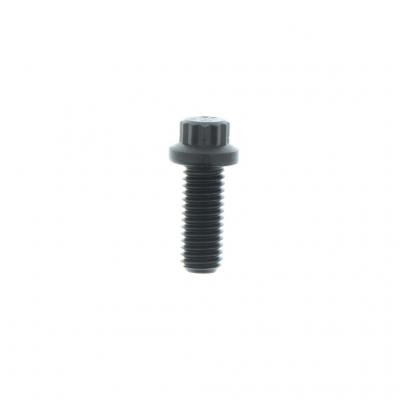 SCREW (Pack of 6)