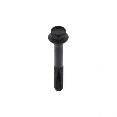 SCREW (Pack of 6)
