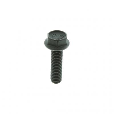 SCREW (Pack of 5)