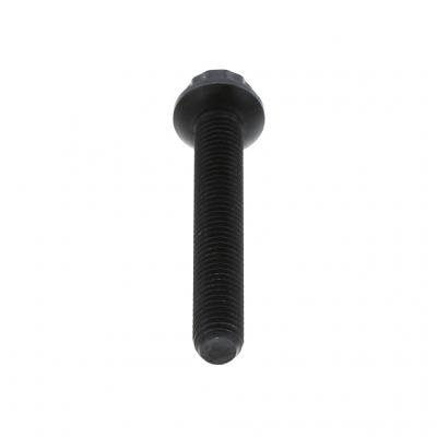 Flanged 12 pt.Screw