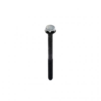 EXHAUST BOLT (Pack of 2)