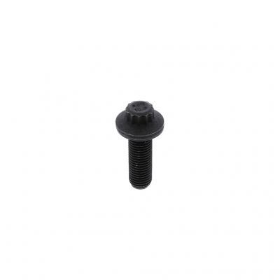 CAPSCREW (Pack of 3)
